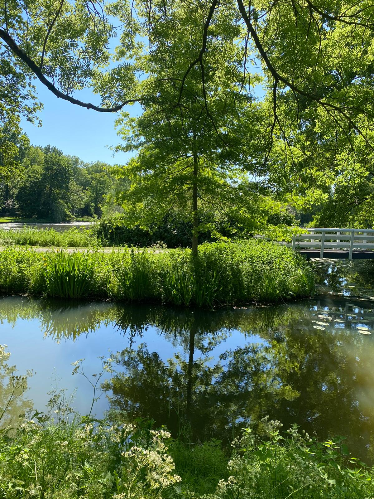 Foto 36 van Middelmolen 3