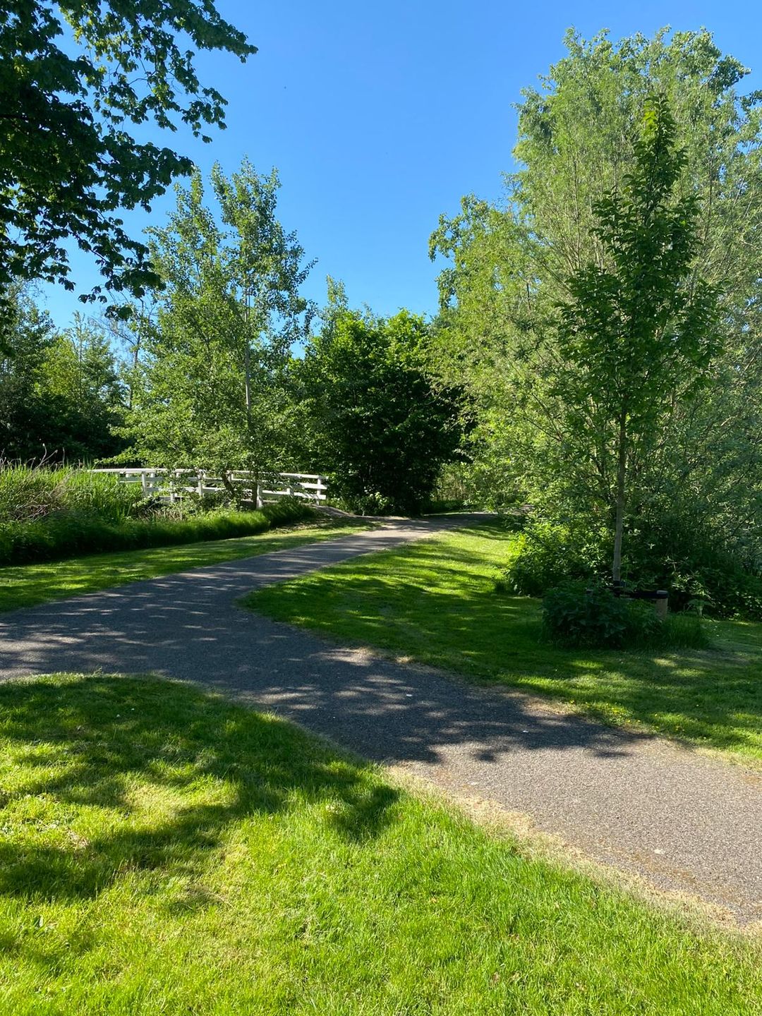 Foto 37 van Middelmolen 3