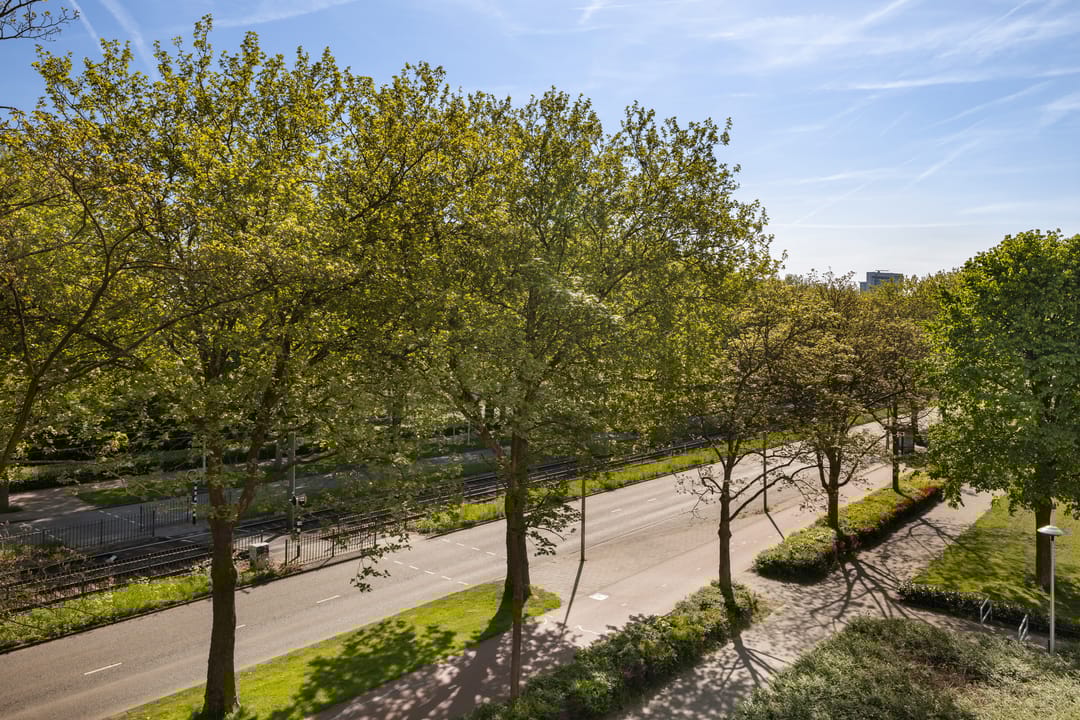 Foto 13 van Livingstonelaan 272