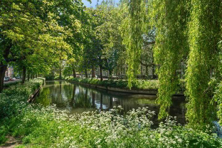 Foto 43 van Koekoekstraat 7