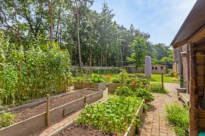 Foto 37 van Maliebaan 4