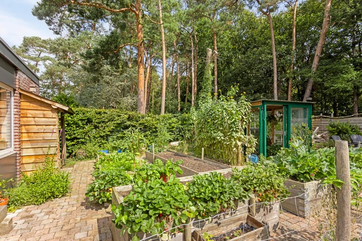 Foto 38 van Maliebaan 4