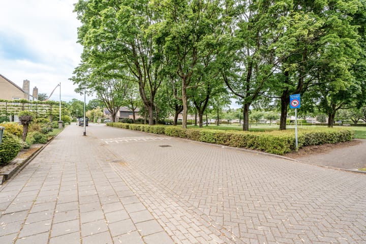 Foto 39 van Bizetplantsoen 41