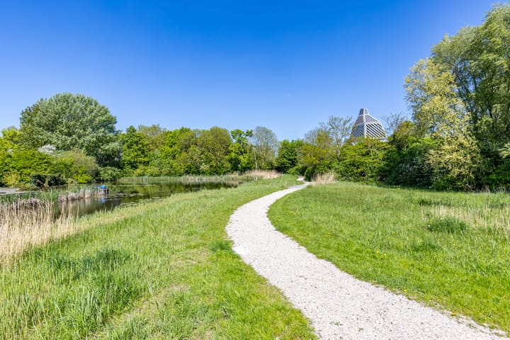 Foto 9 van Kalmoesstraat 15