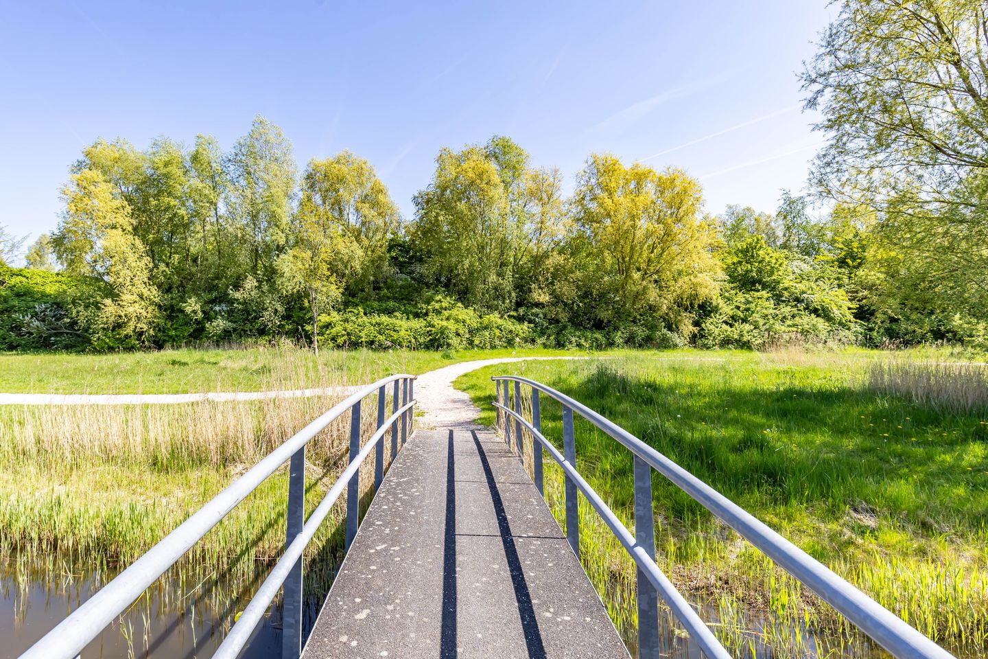 Foto 10 van Kalmoesstraat 15