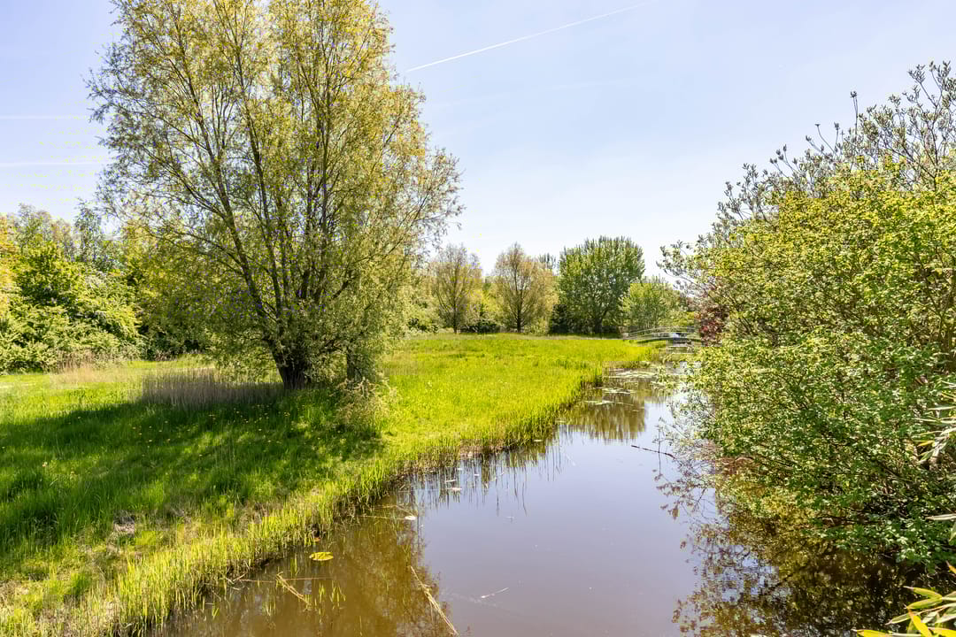 Foto 11 van Kalmoesstraat 15