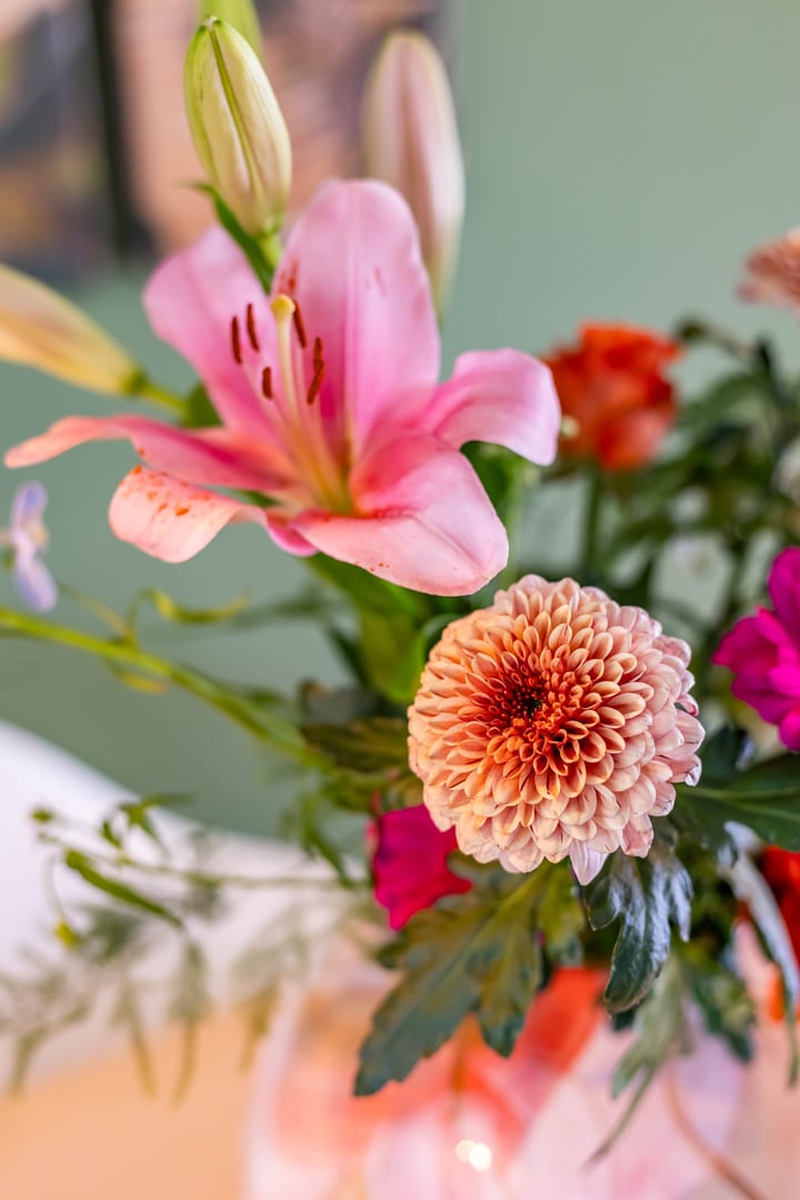 Foto 30 van Kalmoesstraat 15