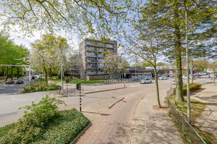 Foto 5 van Kastelenplein 146