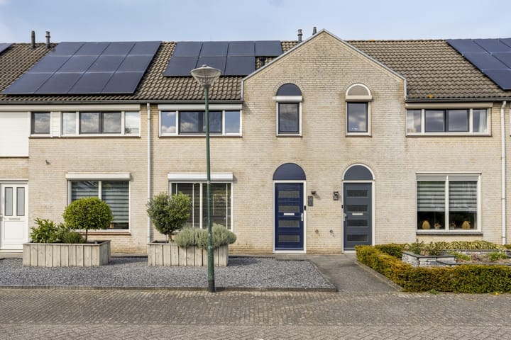 undefined main image