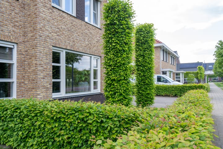 Foto 5 van Arendshorst 3