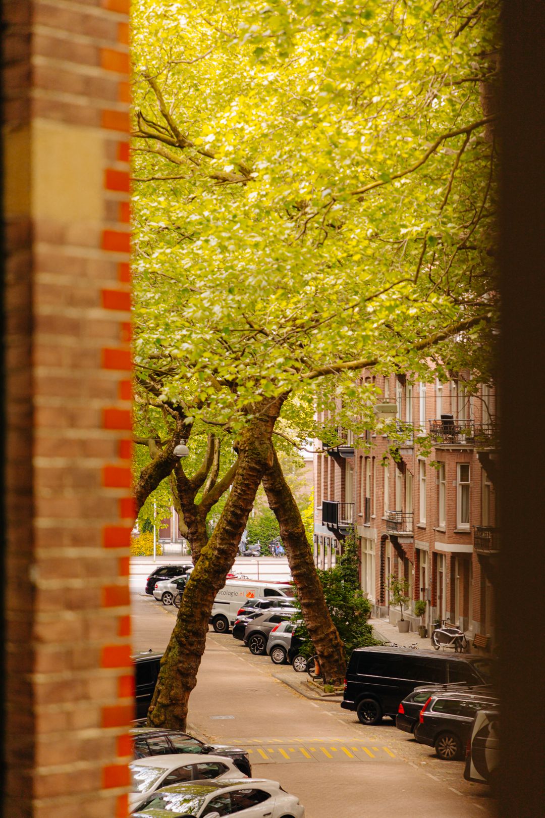 Foto 16 van Lomanstraat 71-D