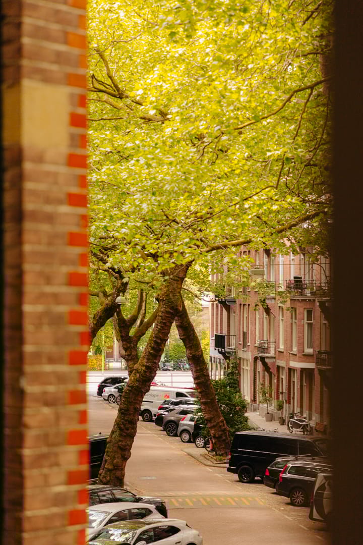 Foto 16 van Lomanstraat 71-D