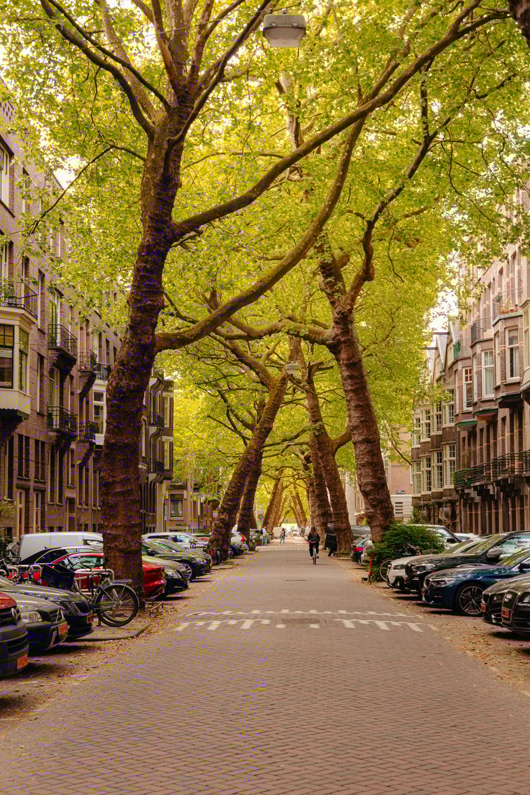 Foto 17 van Lomanstraat 71-D