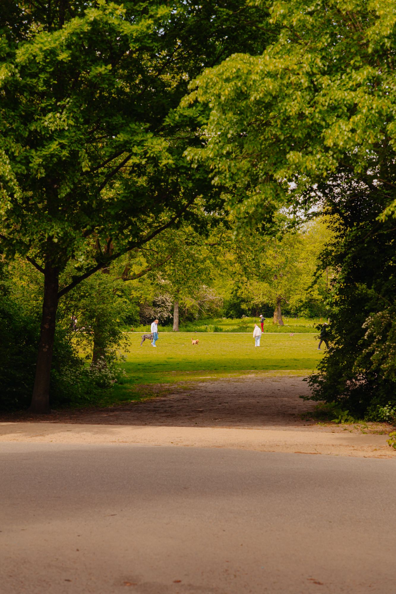 Foto 21 van Lomanstraat 71-D