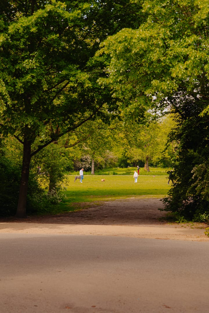 Foto 21 van Lomanstraat 71-D