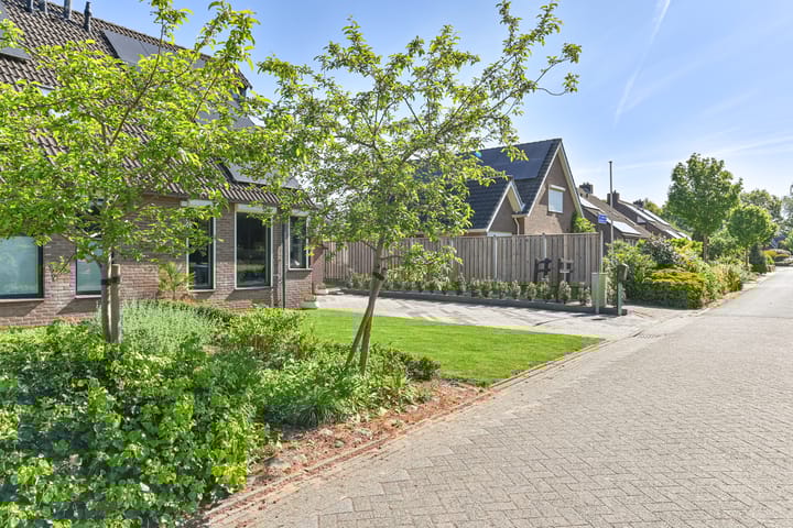 Foto 7 van Dambeern 45