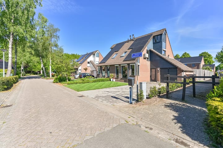 Foto 10 van Dambeern 45