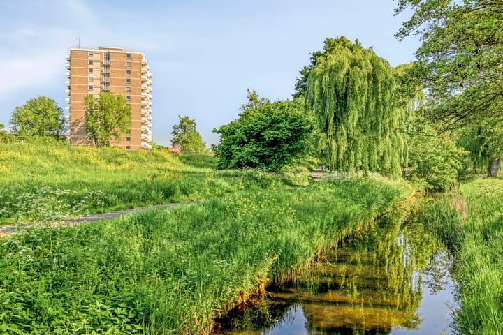 Foto 28 van Alexanderstraat 129