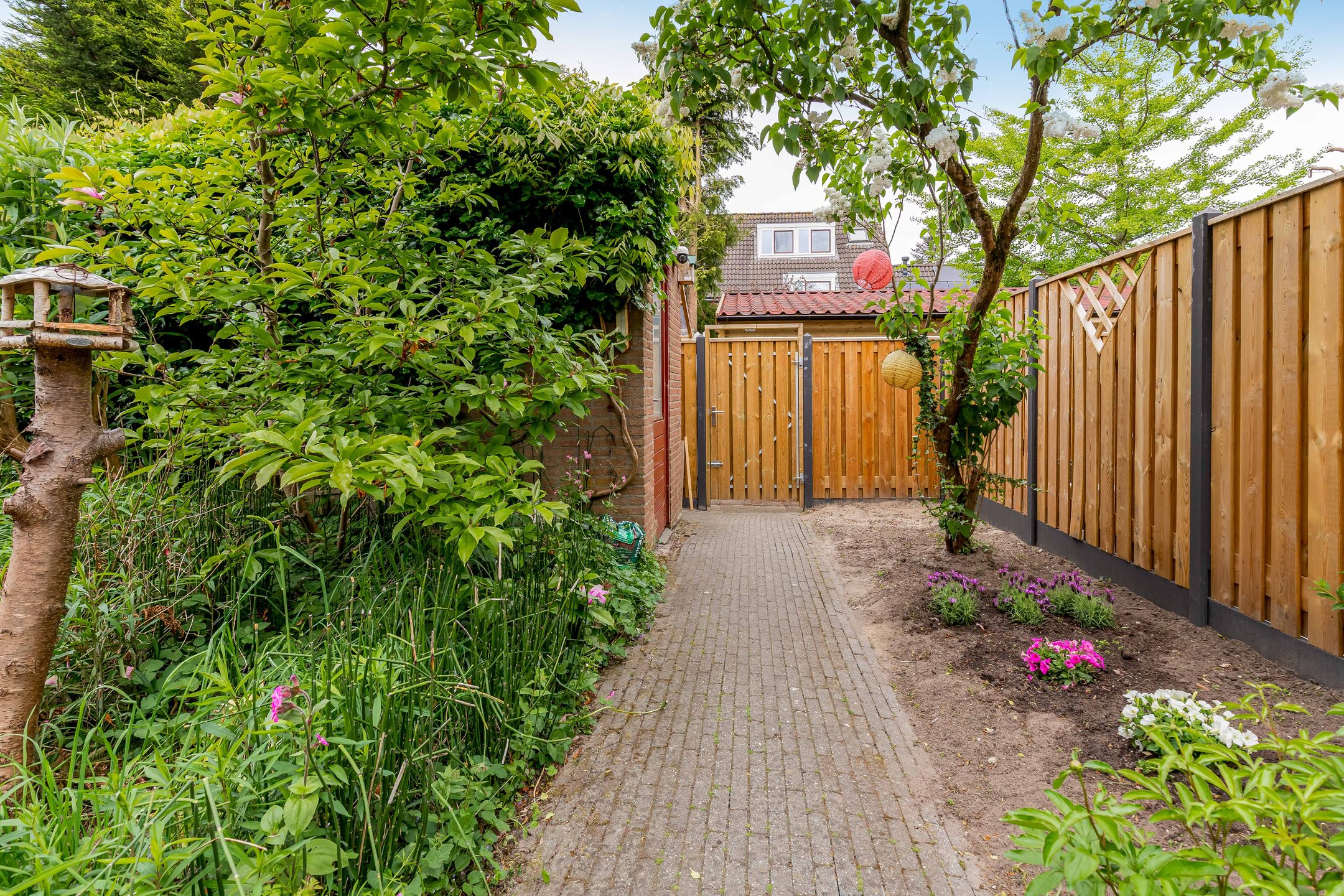 Foto 48 van Buitenhof 64