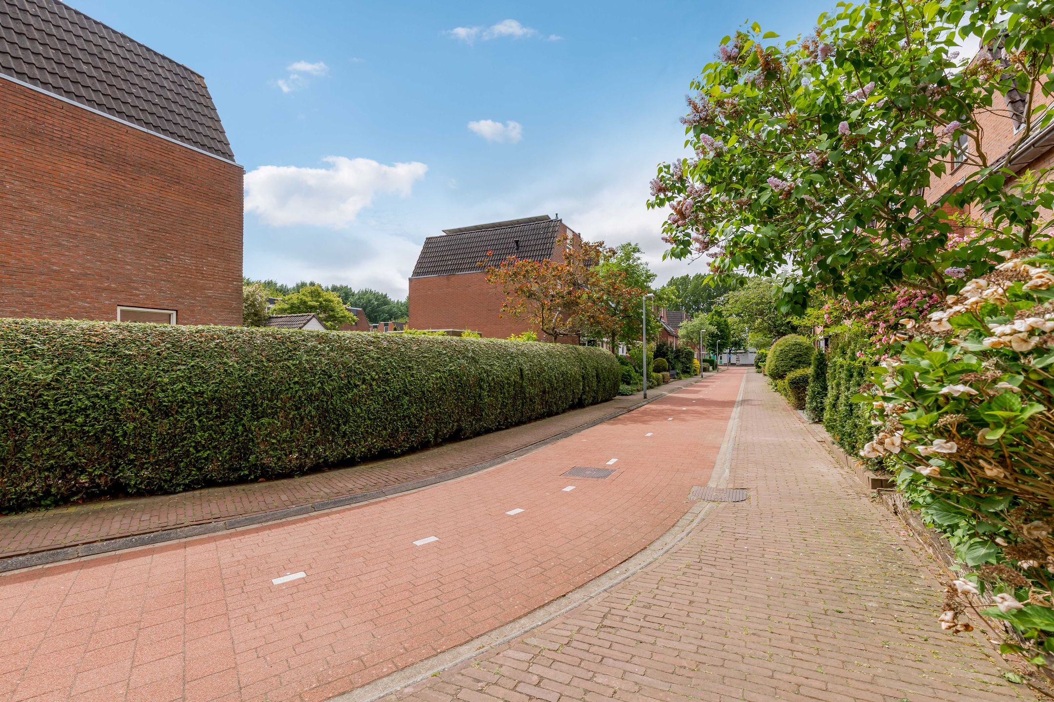 Foto 57 van Buitenhof 64