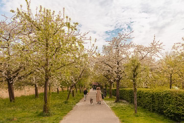 Photo 26 of Zacharias Jansestraat 3-H