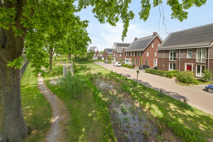 Foto 8 van Goudhoeksland 18