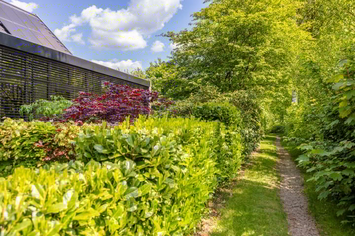 Foto 8 van Dalkruid 55