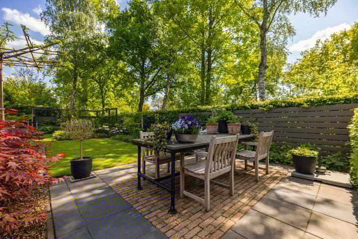 Foto 42 van Dalkruid 55