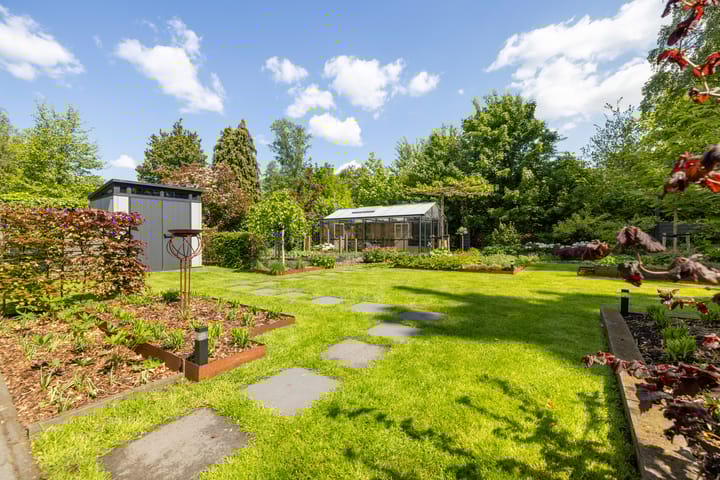 Foto 44 van Dalkruid 55