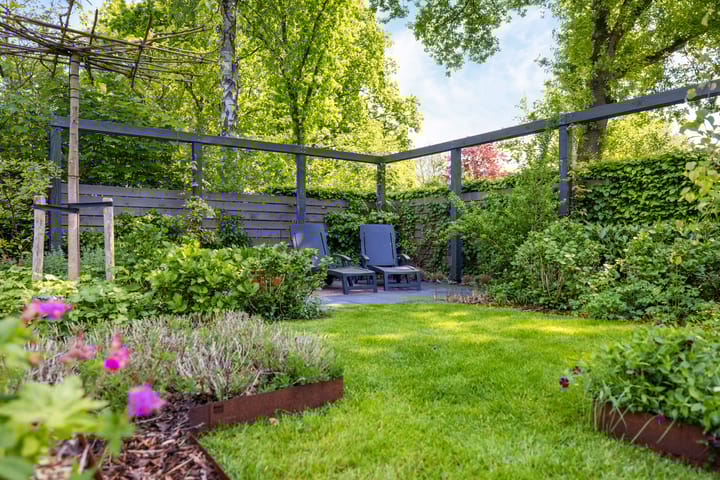 Foto 45 van Dalkruid 55