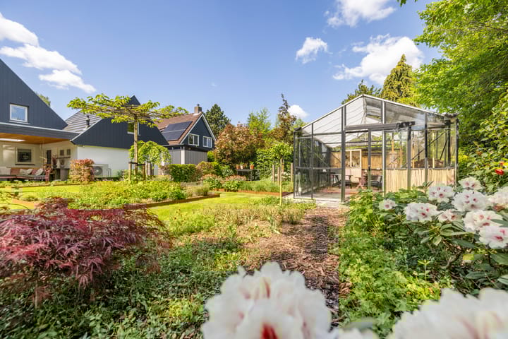 Foto 47 van Dalkruid 55