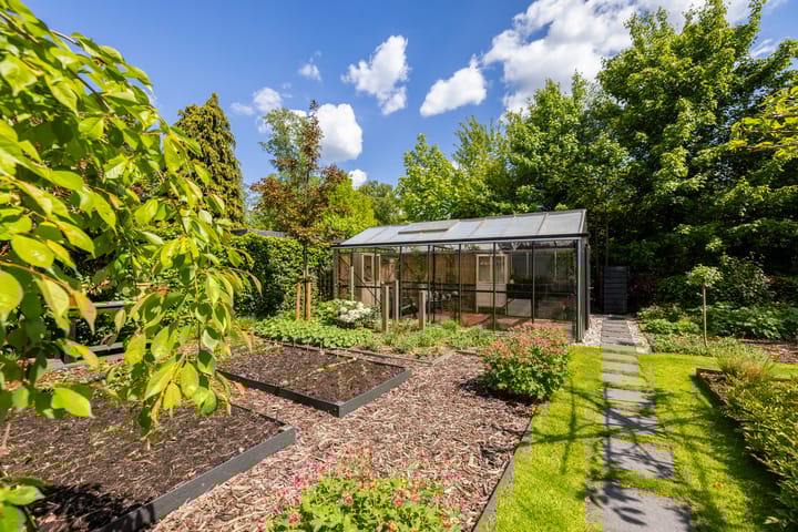 Foto 50 van Dalkruid 55