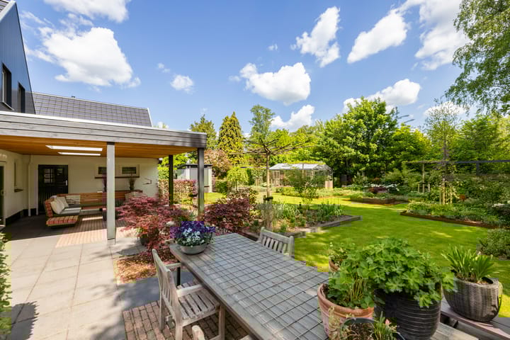 Foto 51 van Dalkruid 55