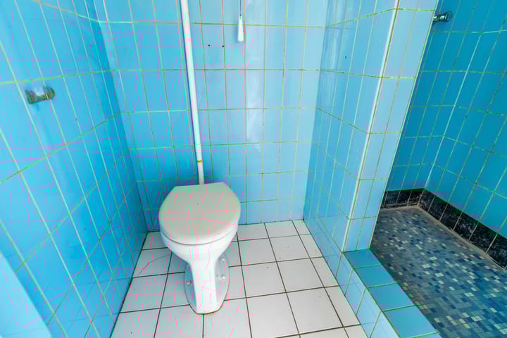 Foto 17 van Linnaeusstraat 178