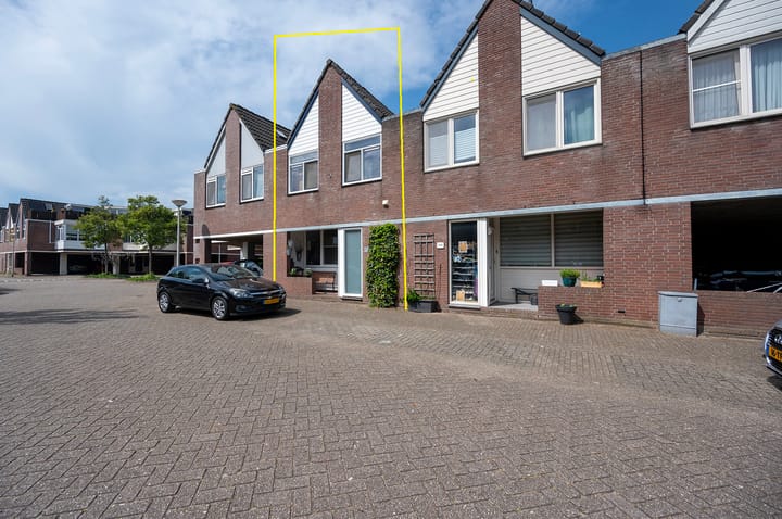 Aardster 311