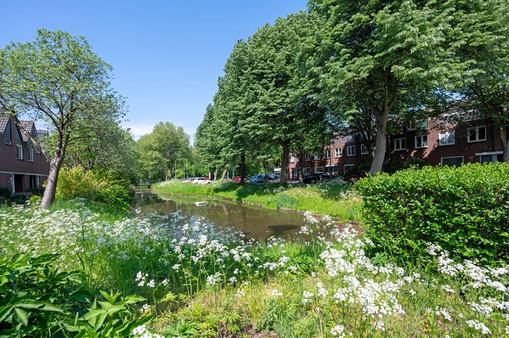 Foto 27 van Aardster 311