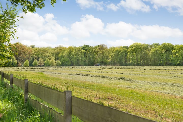 Foto 85 van Beerzerweg 18