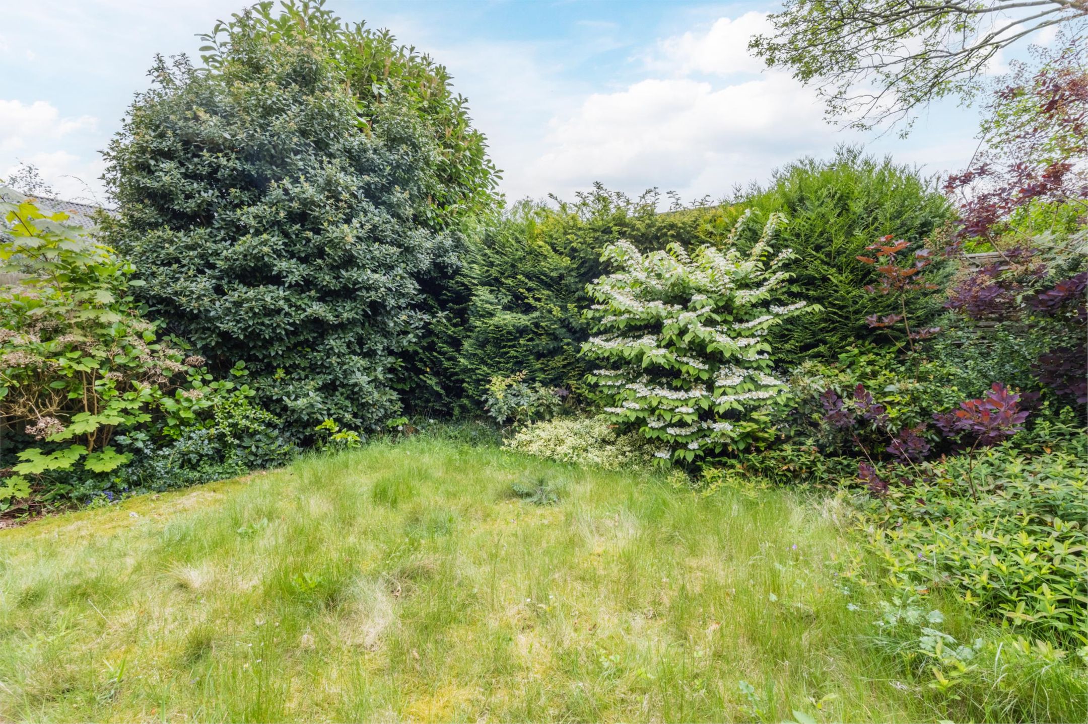 Foto 39 van Potgieterstraat 3