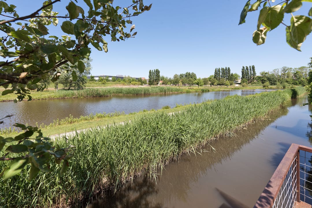 Photo 8 of Aalsmeerderdijk 368