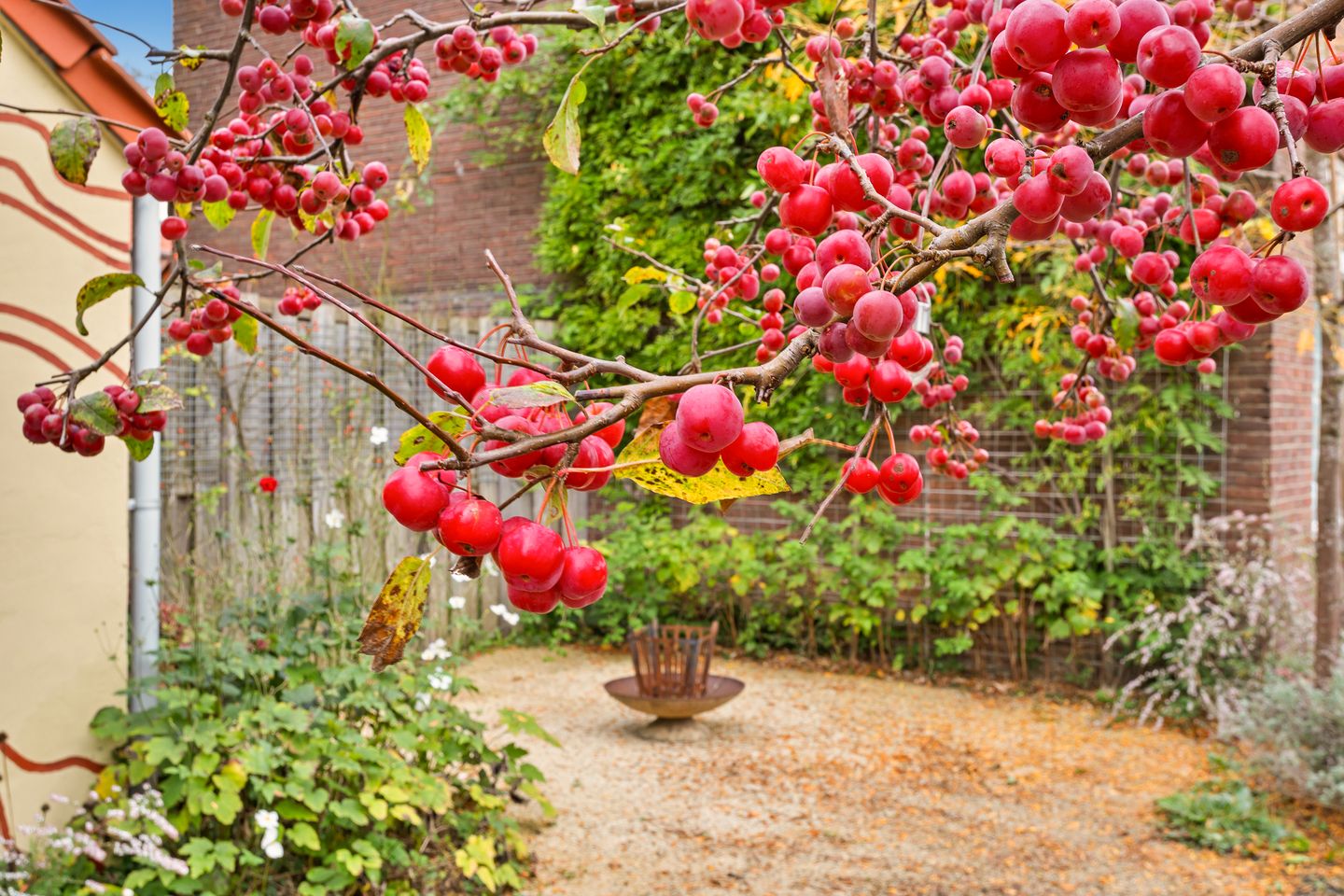 Photo 44 of Riekstraat 12