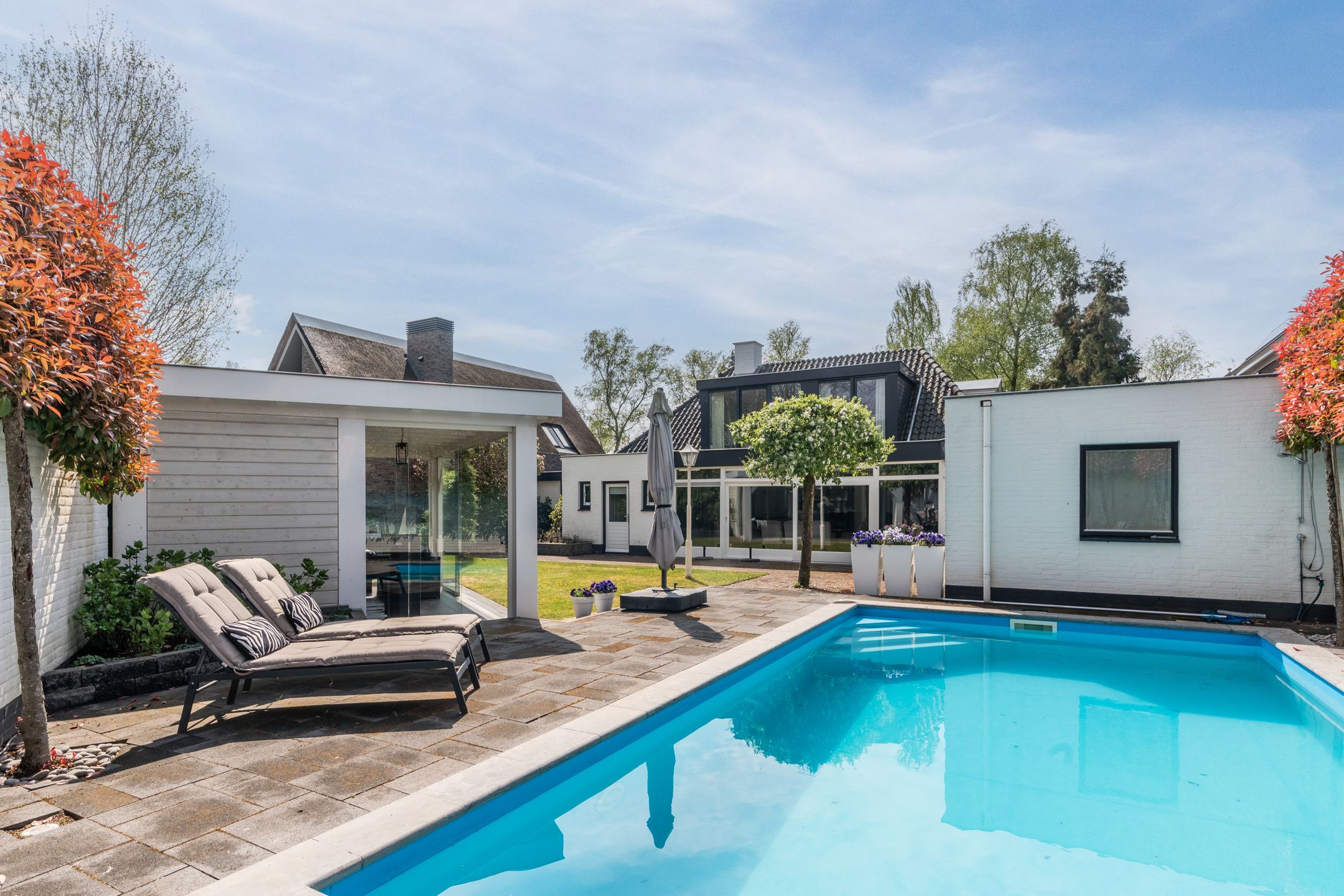 Photo 3 of Burgemeester Serrarisstraat 74