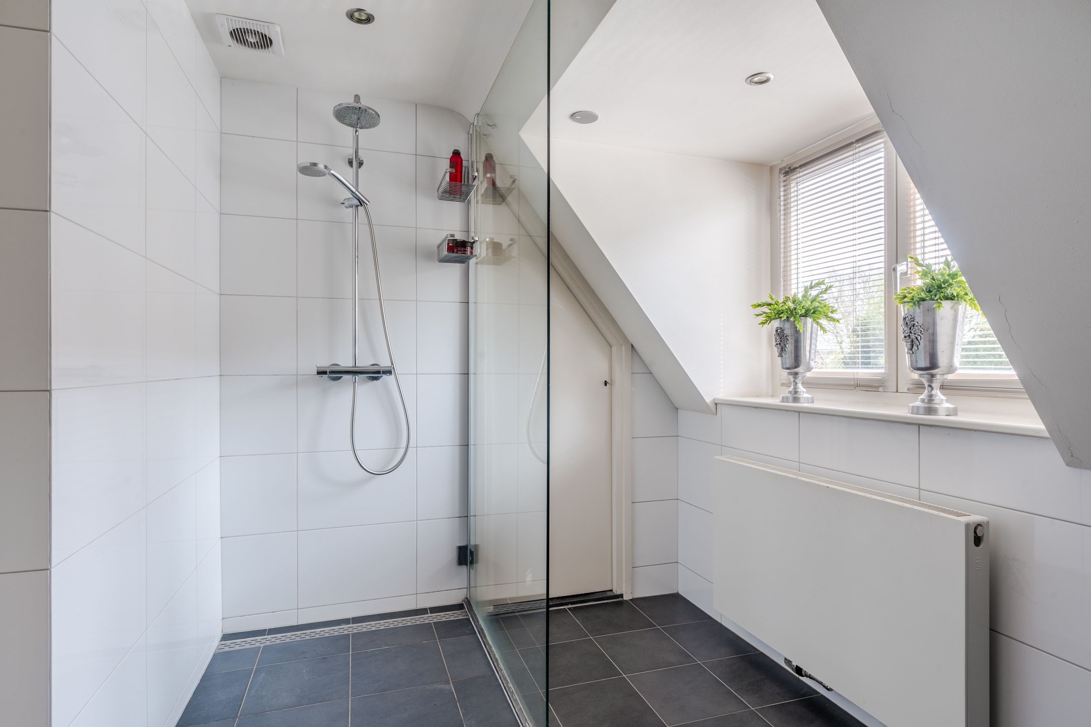 Photo 27 of Burgemeester Serrarisstraat 74