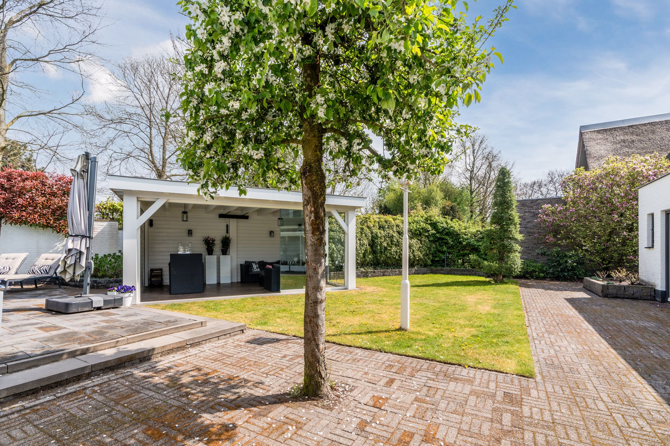 Photo 30 of Burgemeester Serrarisstraat 74