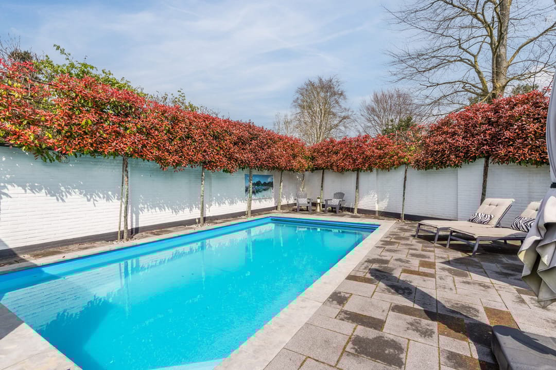 Photo 37 of Burgemeester Serrarisstraat 74