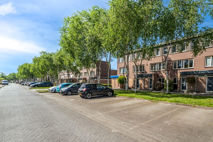 Foto 40 van Eikepage 12