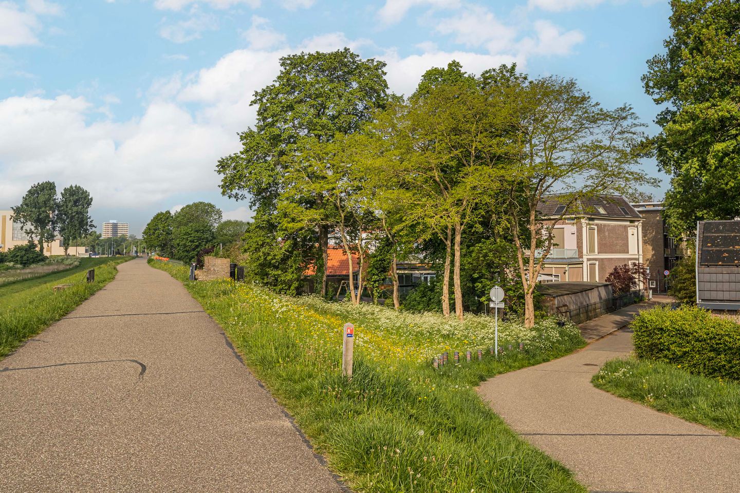 Foto 34 van Niemeijerstraat 14