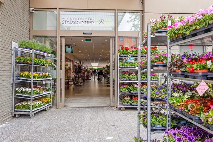 Foto 27 van Rederijkersstraat 6