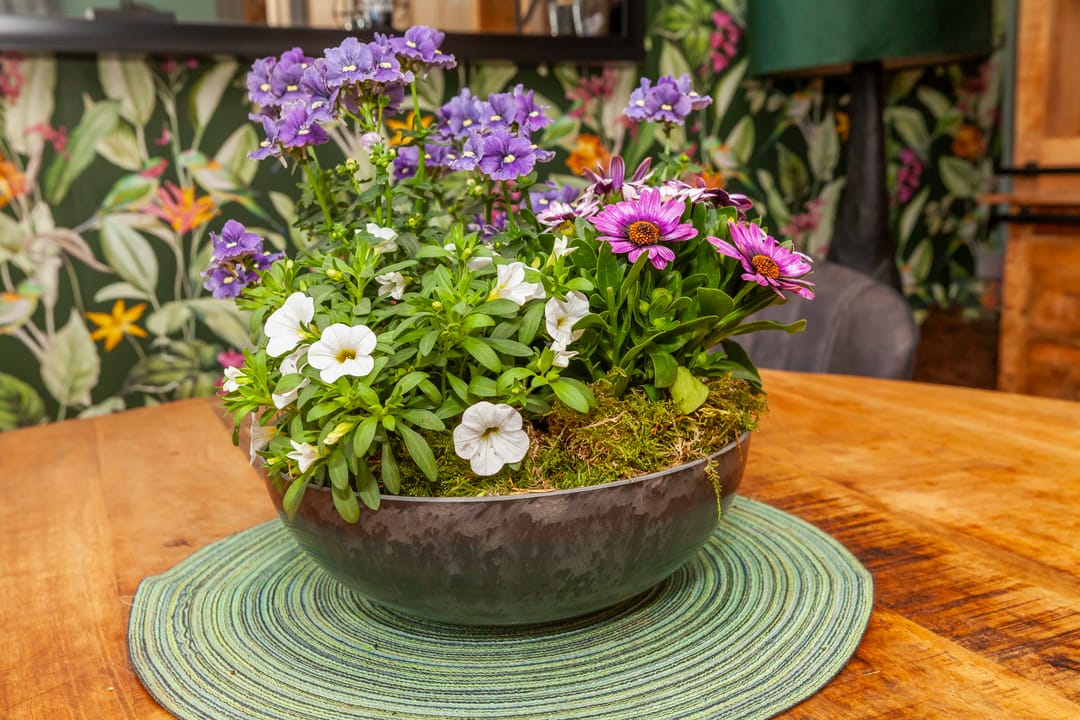 Foto 17 van Gijbelandsedijk 68