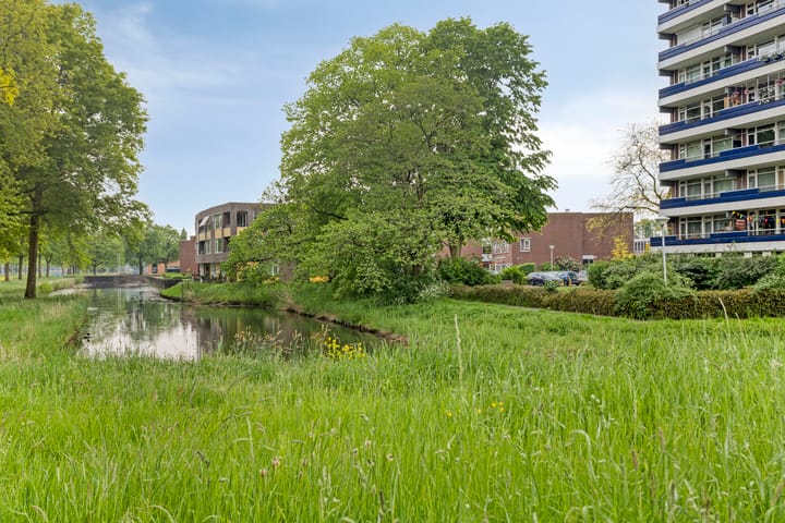 Foto 7 van Scheerling 181