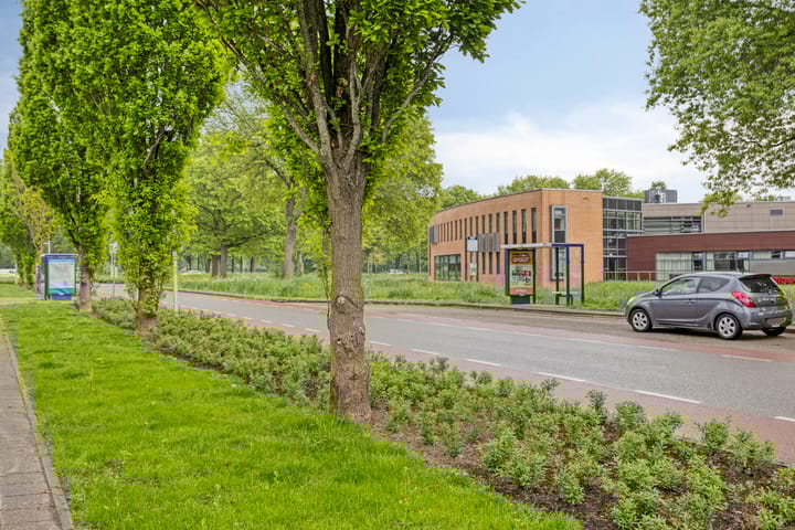 Foto 8 van Scheerling 181